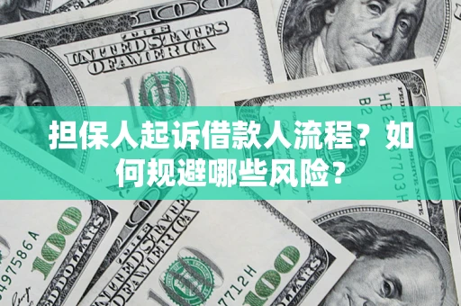 济南担保人起诉借款人流程？如何规避哪些风险？