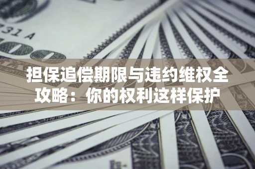 济南担保追偿期限与违约维权全攻略：你的权利这样保护
